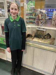 Work Experience
